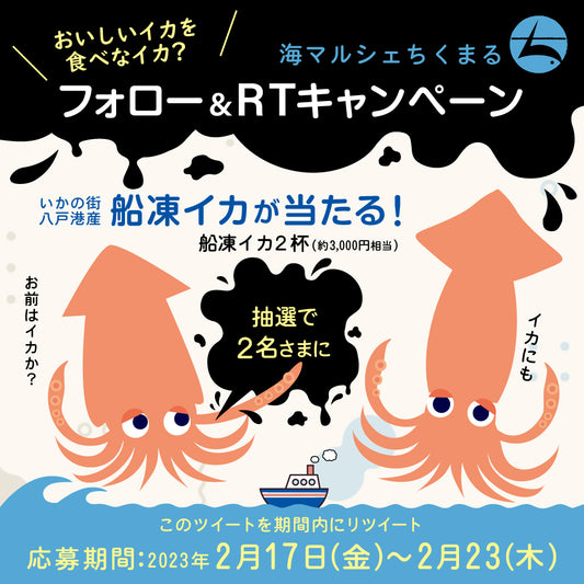海マルシェちくまる【船凍イカ プレゼントキャンペーン】美味しいイカ イカがですか~🦑?