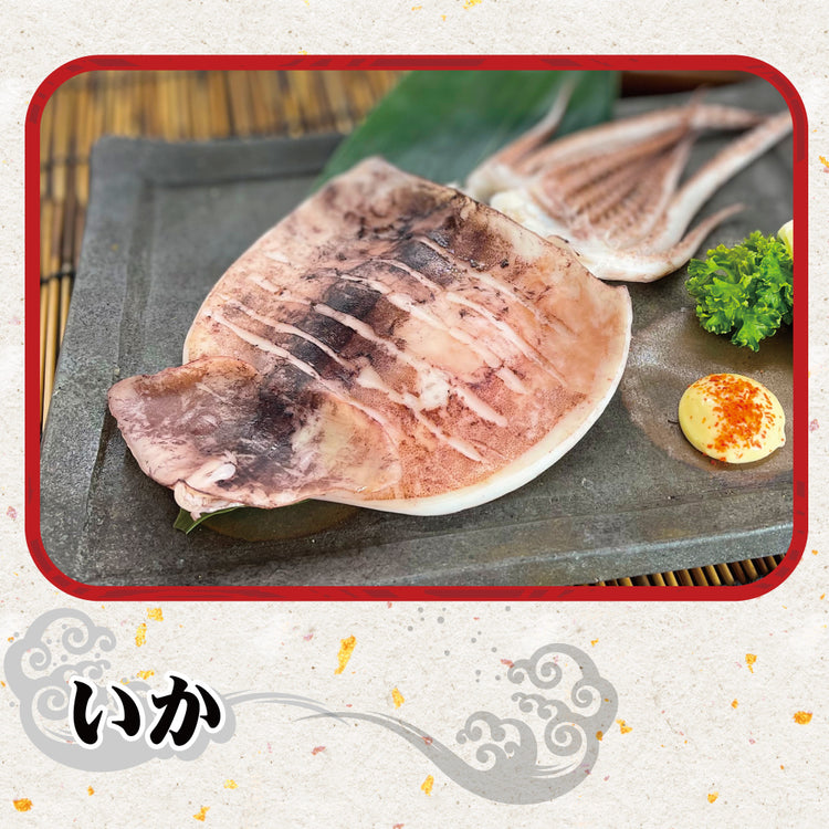 イカ・烏賊・いか