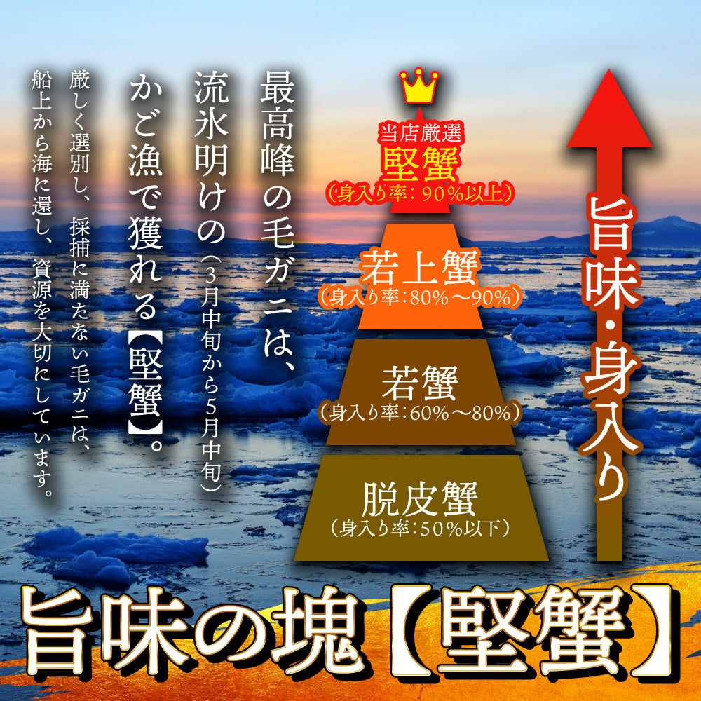 (a009-01)北海道産 浜茹で毛蟹(堅蟹) 約500g×2尾