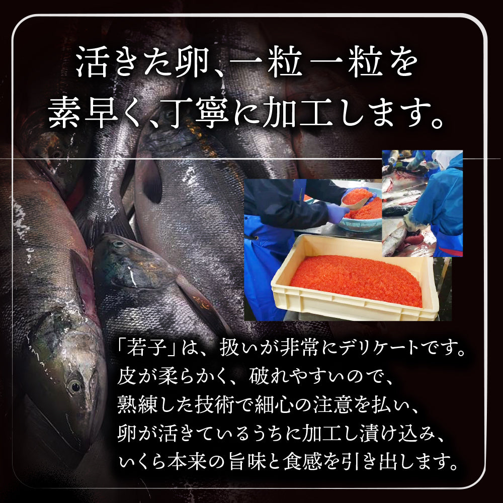 (a017-01)北海道産 いくら 醤油漬け 100g×3パック【本州・四国エリア送料無料】