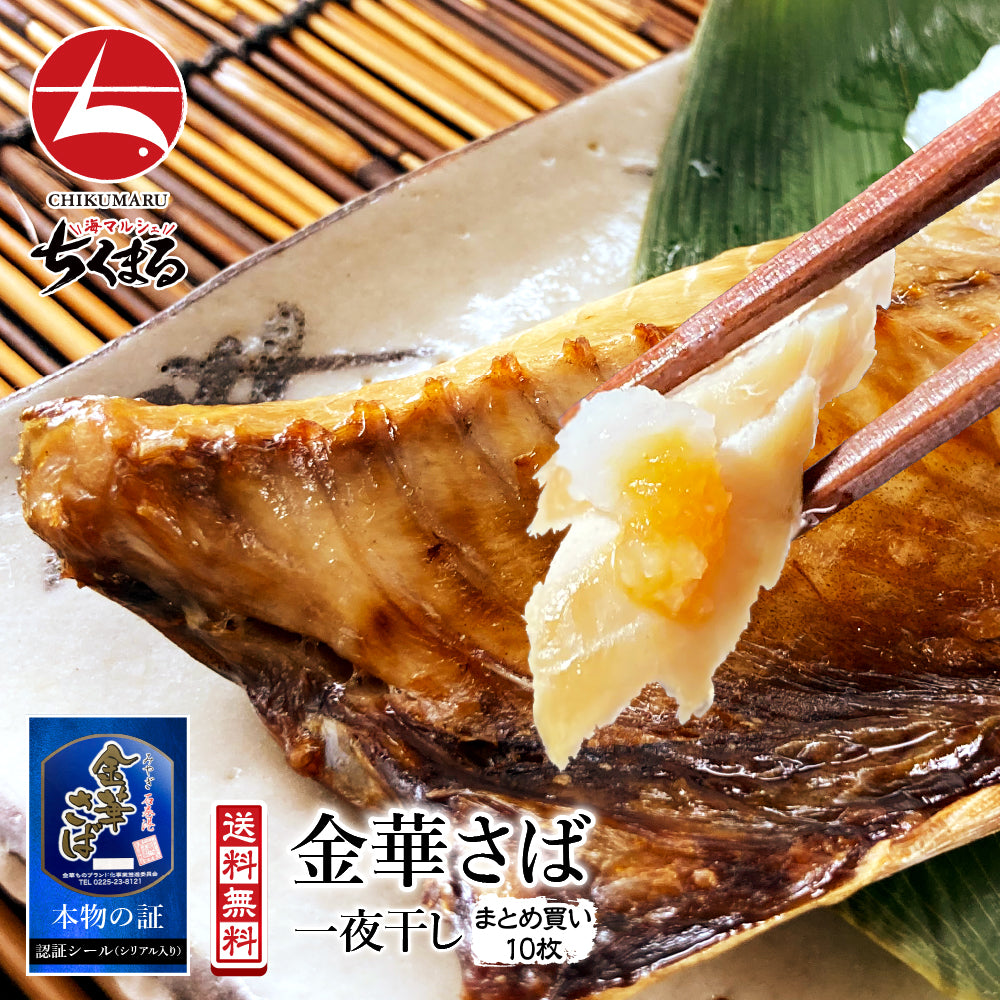 (b002-01)★新技法でさらに美味しくなりました!★宮城県産 金華さば 一夜干し 10枚セット【本州・四国エリア送料無料】