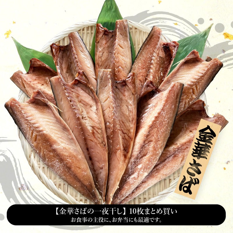 (b002-01)★新技法でさらに美味しくなりました!★宮城県産 金華さば 一夜干し 10枚セット【本州・四国エリア送料無料】