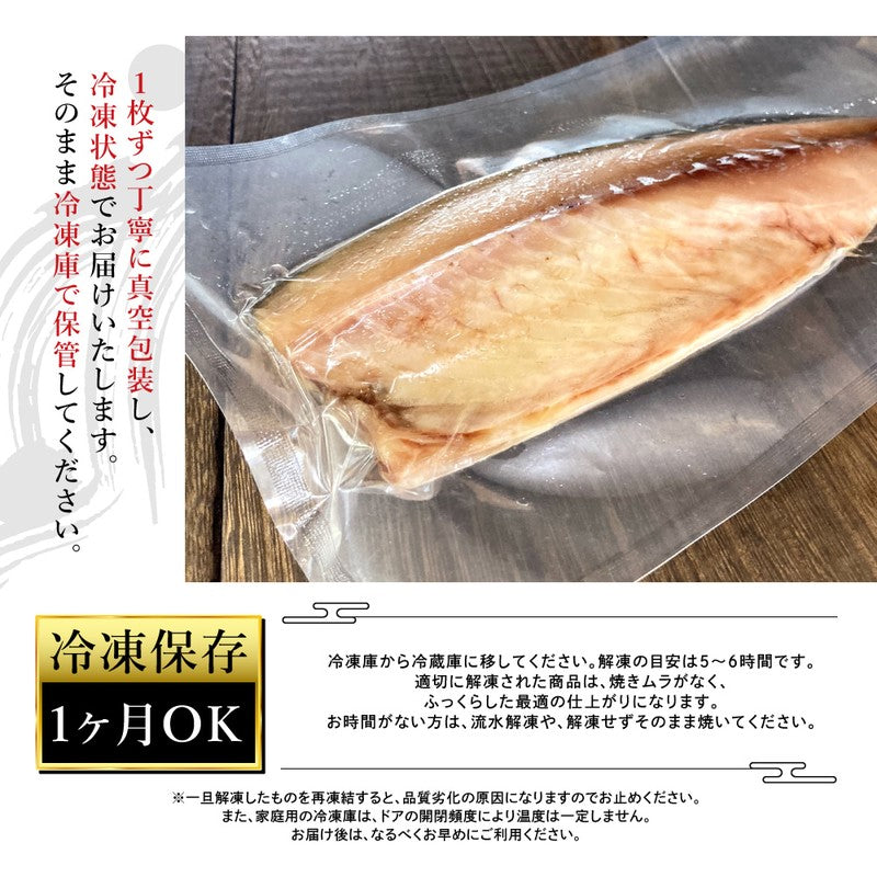 (b002-01)★新技法でさらに美味しくなりました!★宮城県産 金華さば 一夜干し 10枚セット【本州・四国エリア送料無料】
