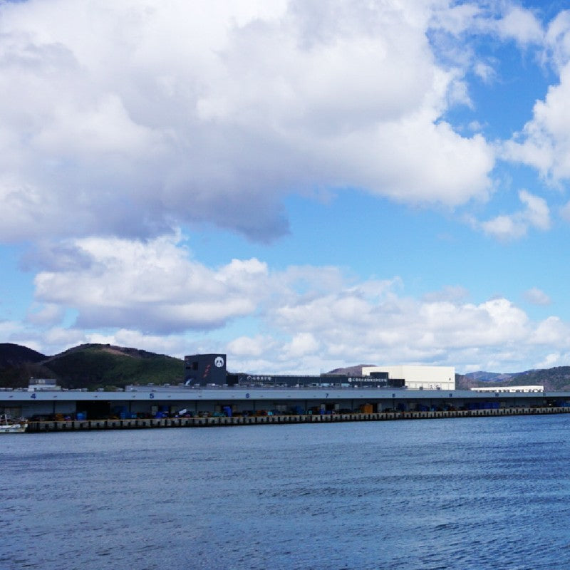 (b002-03)宮城県産 干物 金華さば 一夜干し2枚/みりん干し2枚 計4枚 味くらべセット【本州・四国エリア送料無料】