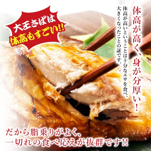 (b002-04)国産 無添加 干物 大王さば 一夜干し 特々大 2枚【本州・四国エリア送料無料】