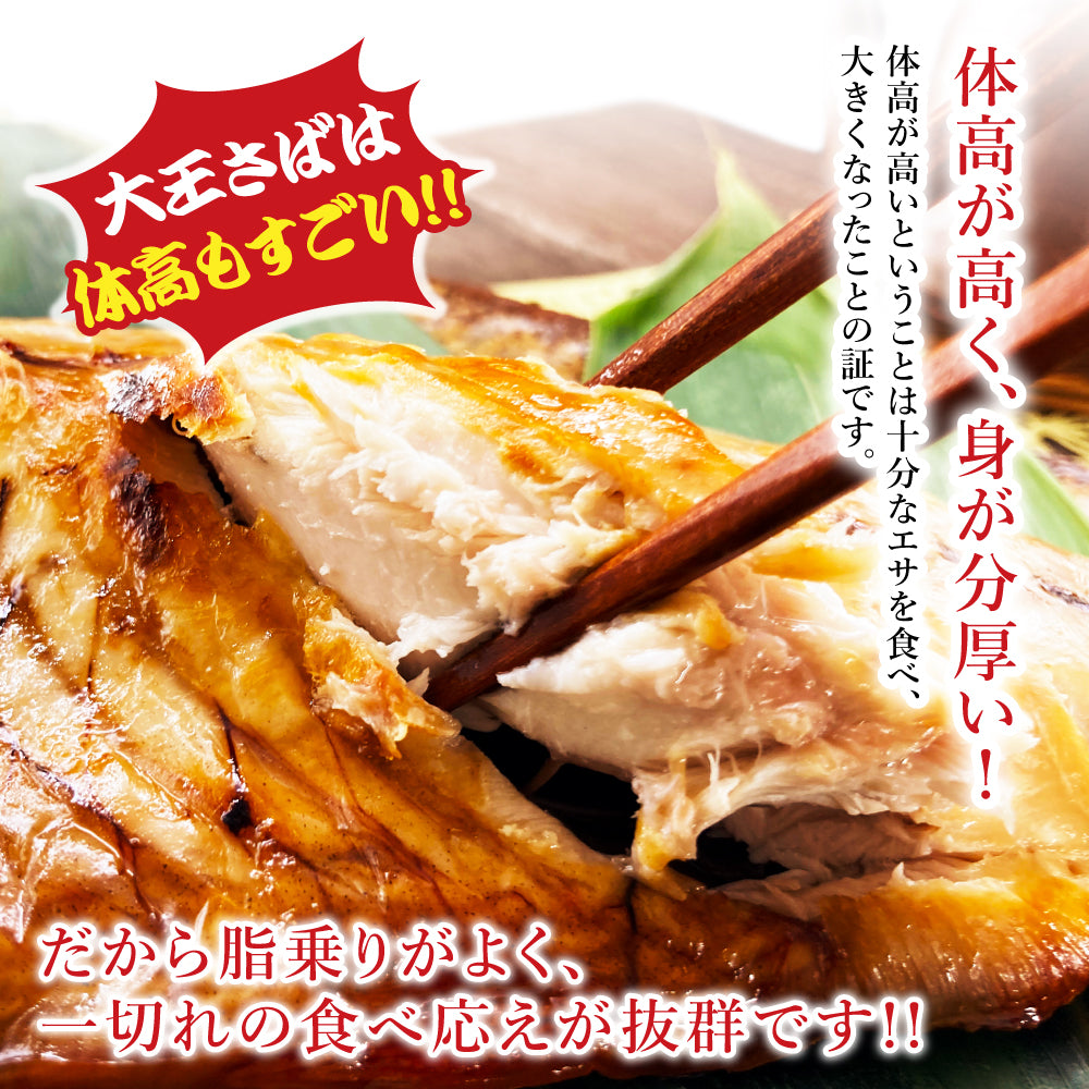 (b002-06)国産 干物 大王さば 一夜干し1枚/みりん干し1枚 特々大 計2枚 お試しセット【本州・四国エリア送料無料】