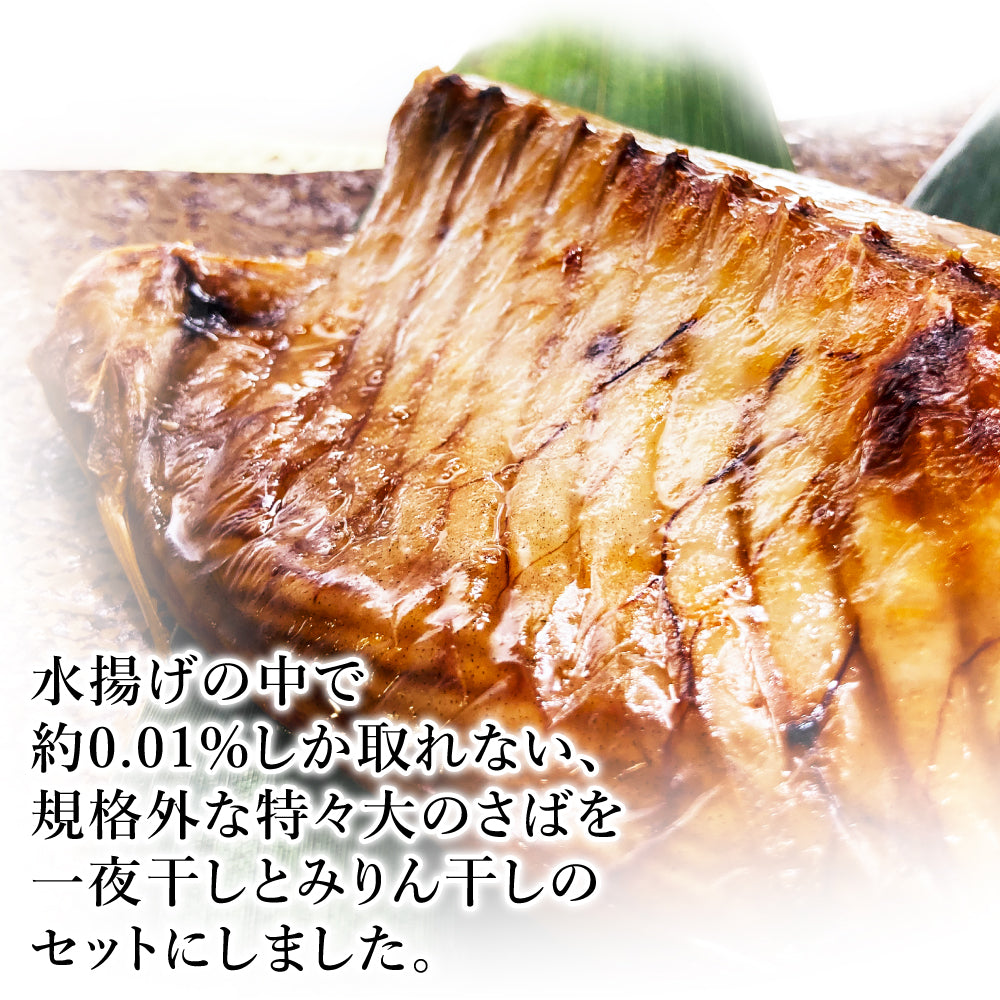 (b002-06)国産 干物 大王さば 一夜干し1枚/みりん干し1枚 特々大 計2枚 お試しセット【本州・四国エリア送料無料】