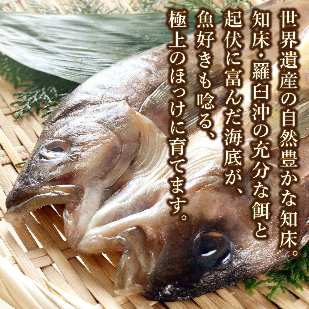 (b011-01)北海道 羅臼産 無添加 干物 真ホッケの開き 特大サイズ 3枚【本州・四国エリア送料無料】