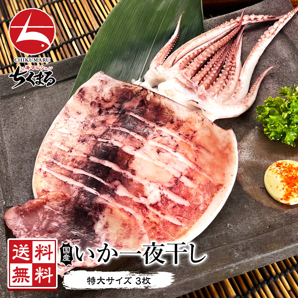 (b014-02)岩手県産 いかの一夜干し 3枚【本州・四国エリア送料無料】