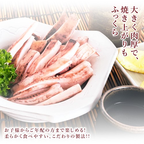 (b014-02)岩手県産 いかの一夜干し 3枚【本州・四国エリア送料無料】