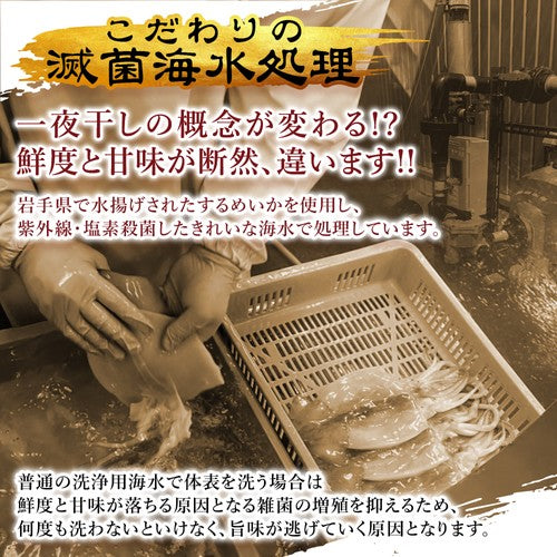 (b014-02)岩手県産 いかの一夜干し 3枚【本州・四国エリア送料無料】