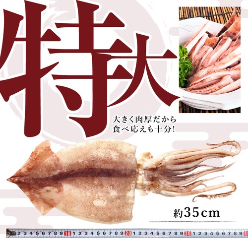 (b014-02)岩手県産 いかの一夜干し 3枚【本州・四国エリア送料無料】