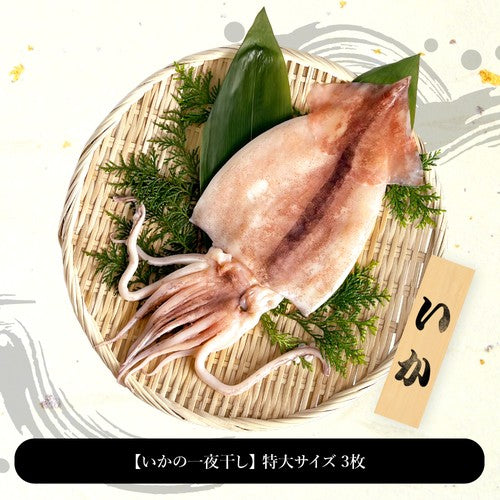 (b014-02)岩手県産 いかの一夜干し 3枚【本州・四国エリア送料無料】