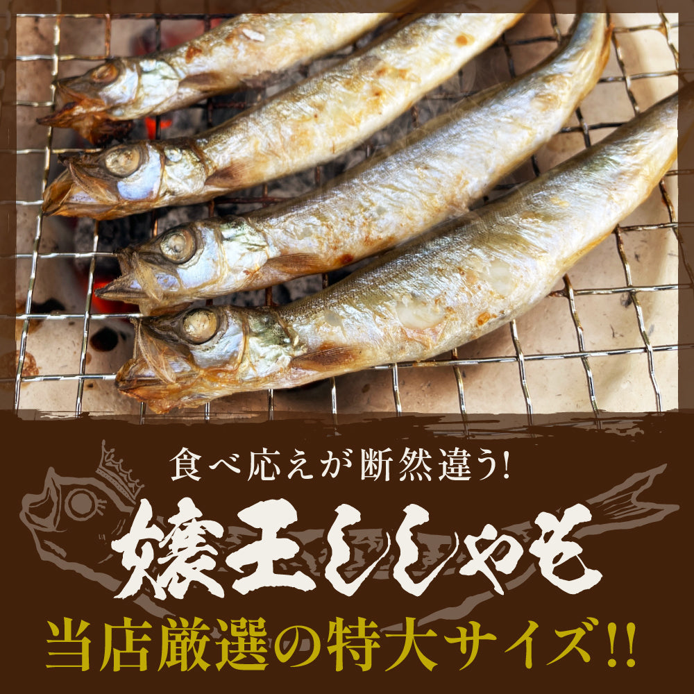 (b016-01)アイスランド産 無添加 嬢王ししゃも 特大サイズ 計1kg【本州・四国エリア送料無料】