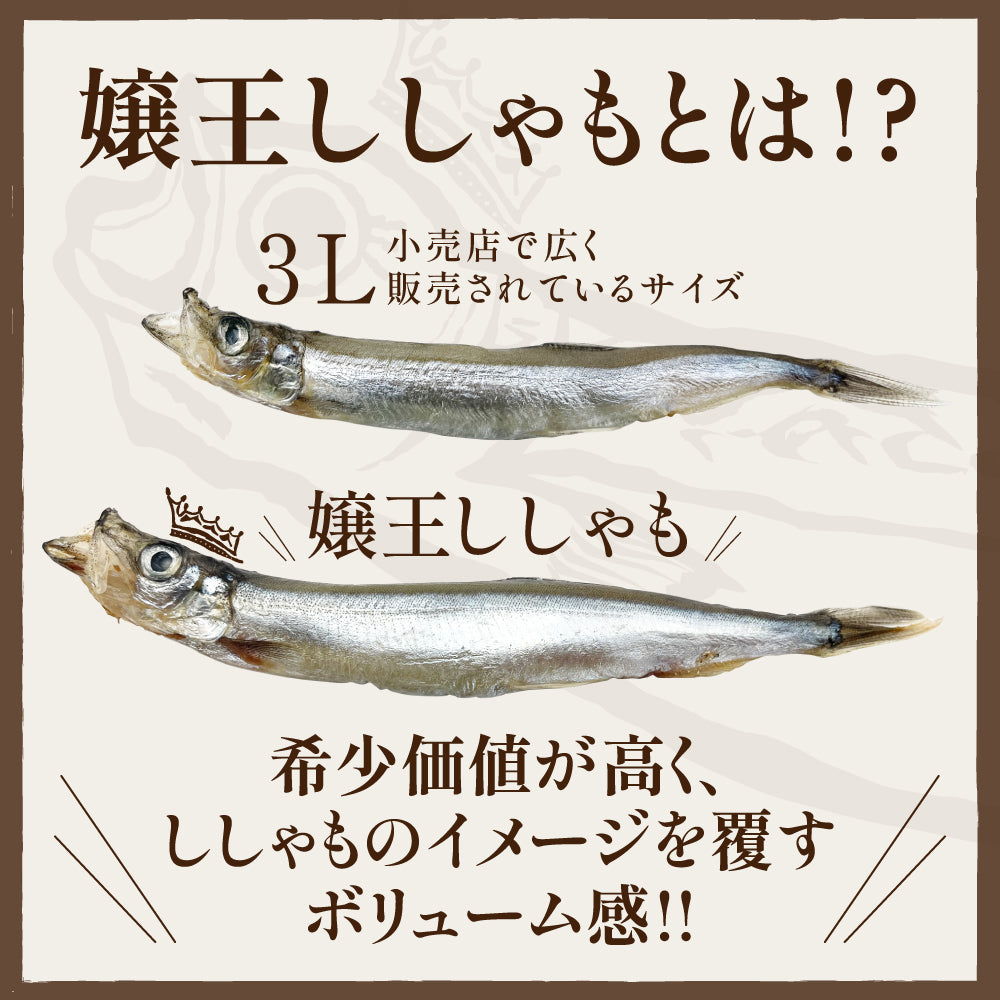 (b016-01)アイスランド産 無添加 嬢王ししゃも 特大サイズ 計1kg【本州・四国エリア送料無料】