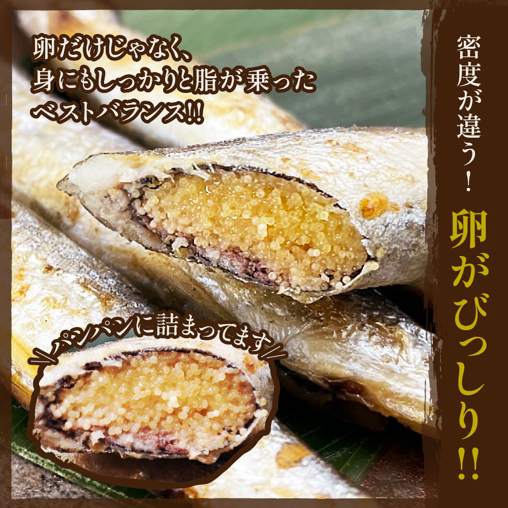 (b016-01)アイスランド産 無添加 嬢王ししゃも 特大サイズ 計1kg【本州・四国エリア送料無料】