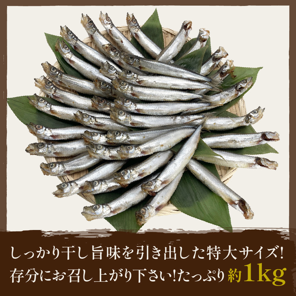 (b016-01)アイスランド産 無添加 嬢王ししゃも 特大サイズ 計1kg【本州・四国エリア送料無料】