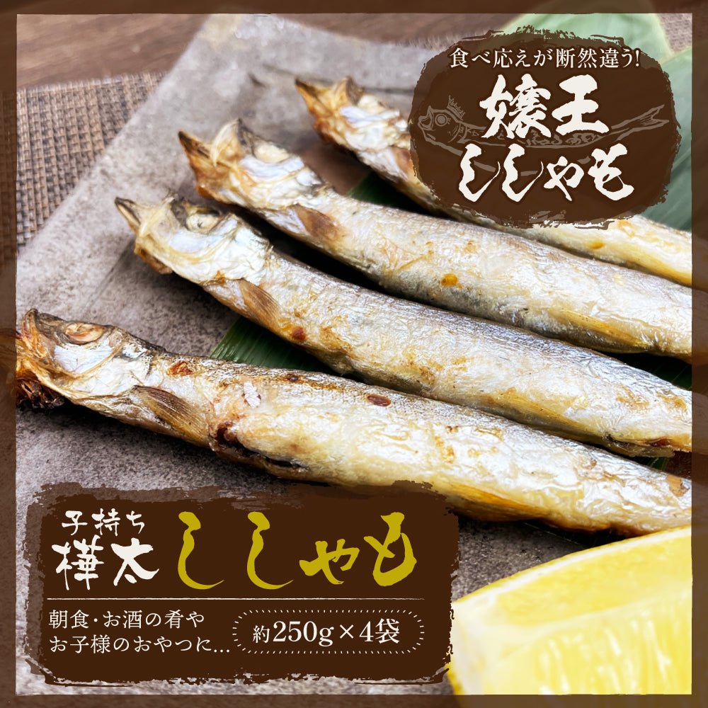 (b016-01)アイスランド産 無添加 嬢王ししゃも 特大サイズ 計1kg【本州・四国エリア送料無料】