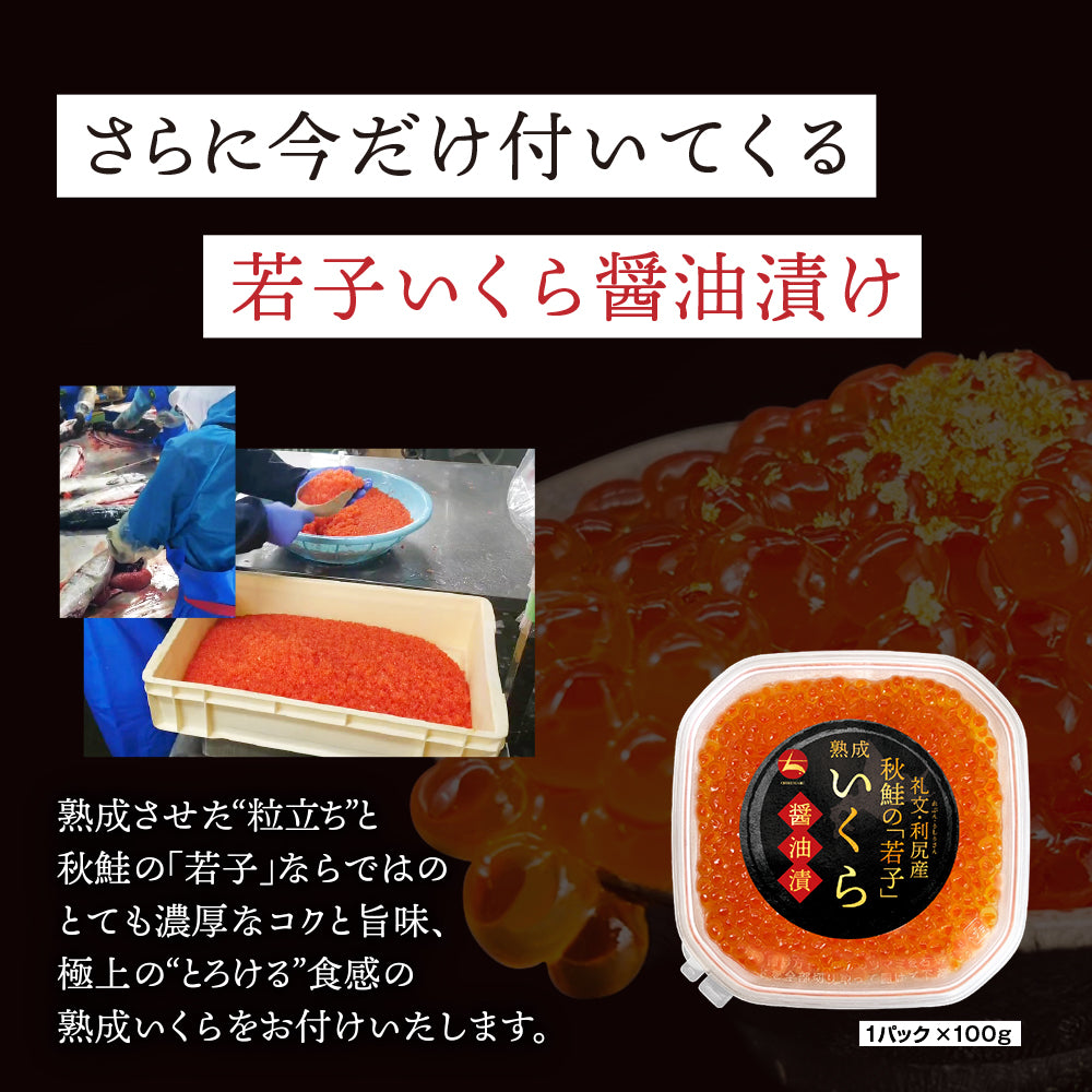 (b026-01)2022年新物 無添加 北海道産 沖獲り新巻鮭(甘塩) 約2.5kg 秋鮭いくら100gプレゼント【本州・四国エリア送料無料】