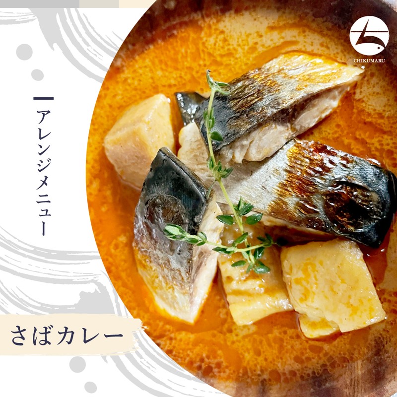 (b002-06)国産 干物 大王さば 一夜干し1枚/みりん干し1枚 特々大 計2枚 お試しセット【本州・四国エリア送料無料】