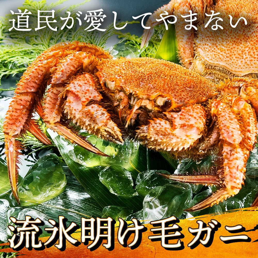 期日指定配送可！【浜ゆで極上毛蟹姿】活時2尾2.0ｋｇ・茹上がり2尾1.6kg前後相当の堅蟹（身入≒９０%）配送後、即食べれます！ ショップ 北海道産