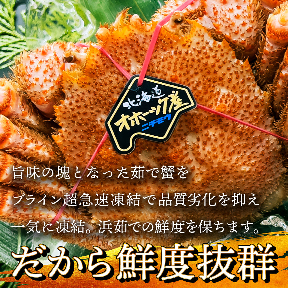 (a009-01)北海道産 浜茹で毛蟹(堅蟹) 約500g×2尾