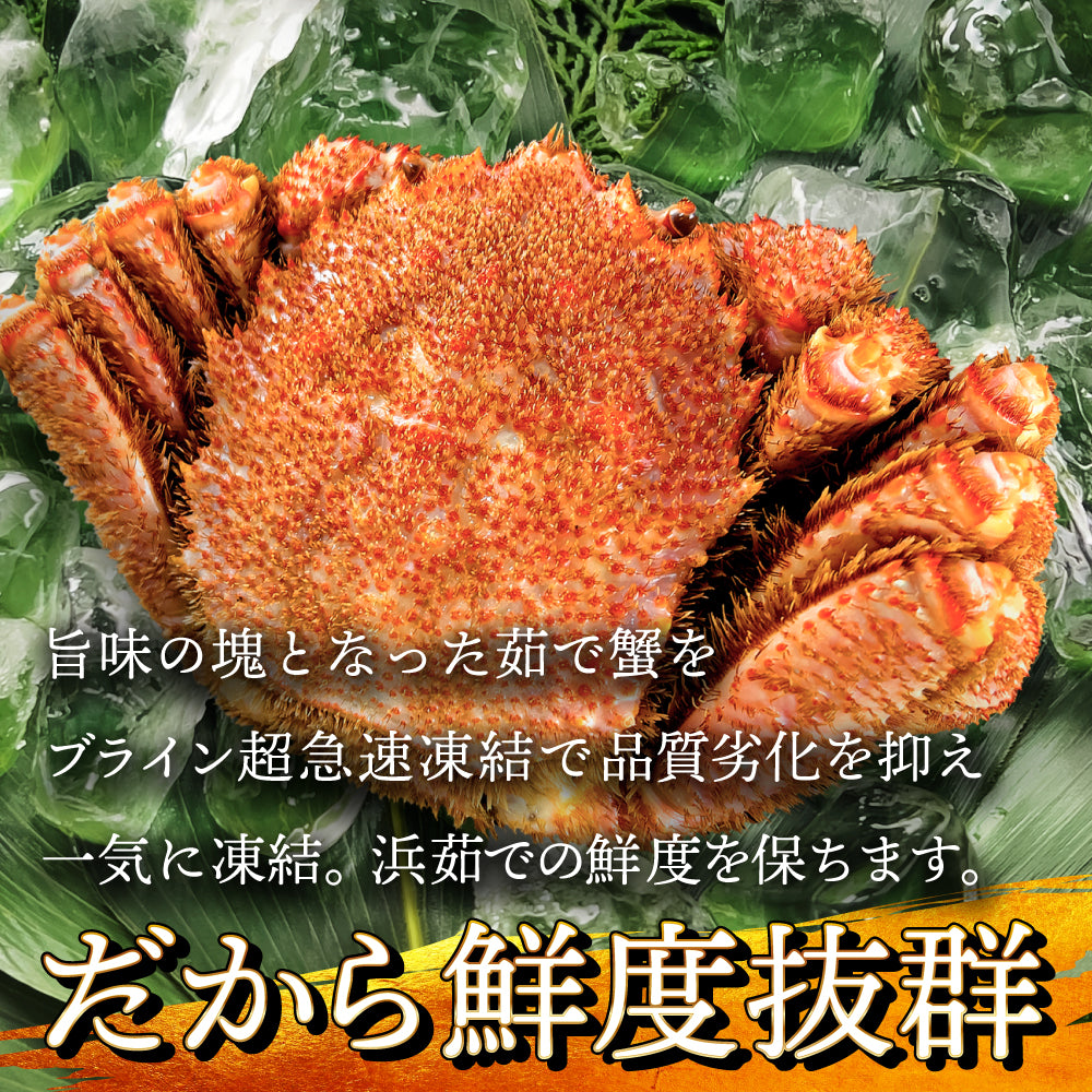 (a009-06)北海道産 浜茹で毛蟹(堅蟹) 約570g×2尾
