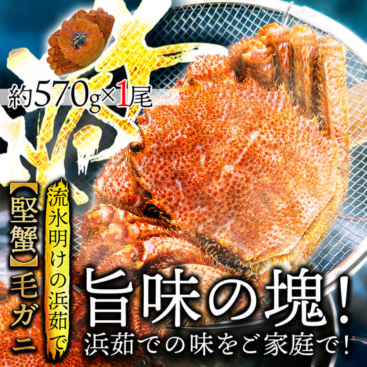 (a009-07)北海道産 浜茹で毛蟹(堅蟹) 約570g×1尾