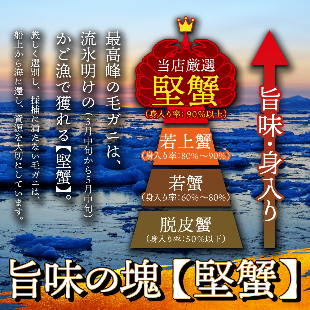 (a009-07)北海道産 浜茹で毛蟹(堅蟹) 約570g×1尾