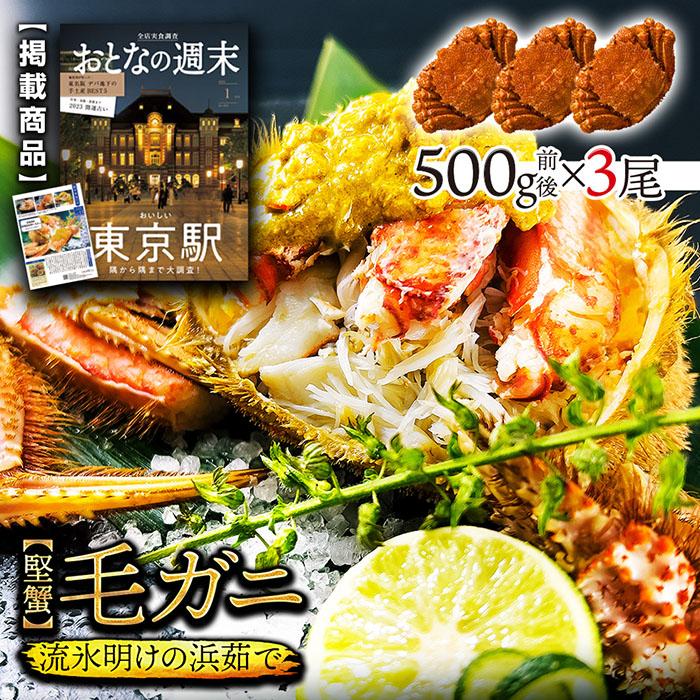 (a009-09)北海道産 浜茹で毛蟹(堅蟹) 約500g×3尾