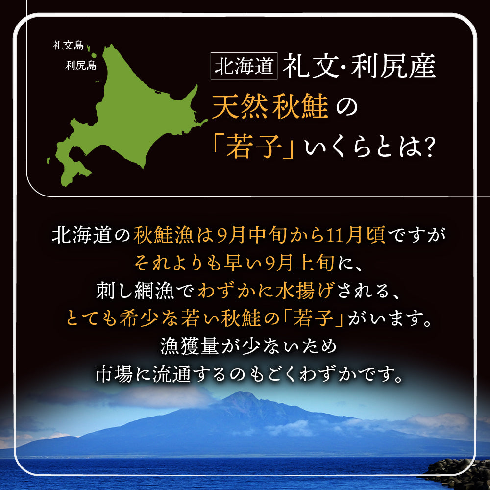 (a017-06)北海道礼文・利尻産 秋鮭若子のいくら醤油漬け100g×4