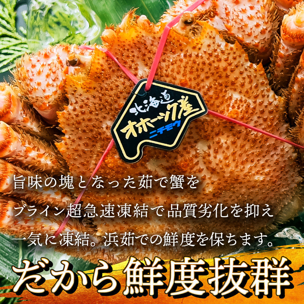 (a009-02)北海道産 浜茹で毛蟹(堅蟹) 約500g1尾【本州・四国エリア送料無料】